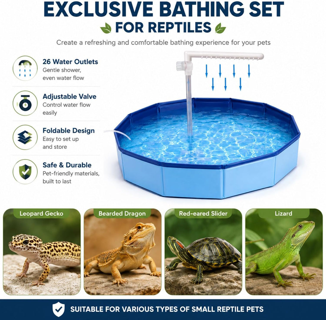 Bearded Dragon Water Fountain Reptile Pool with Foldable Bath Tub