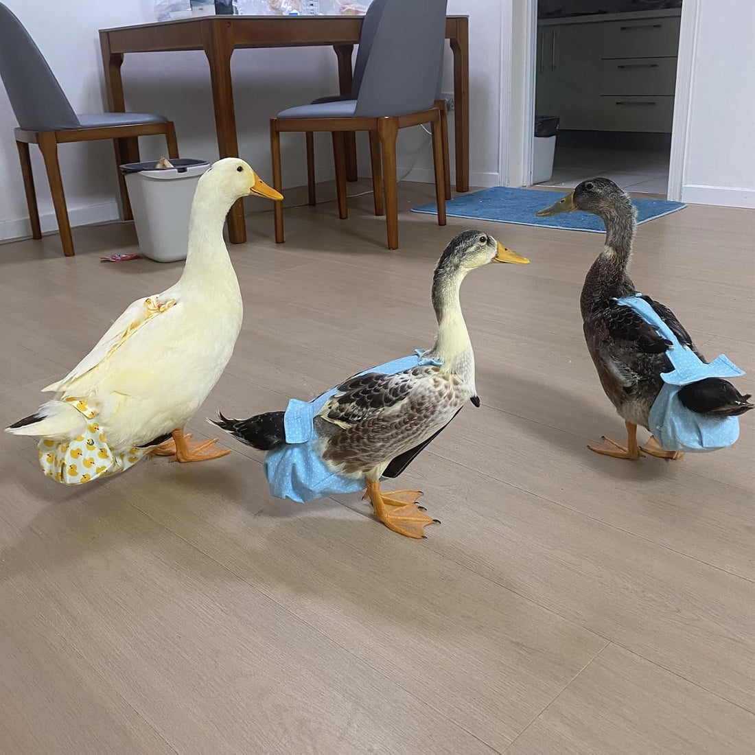 BestParts 2pc Button Adjustable Diaper for Goose Duck Chicken