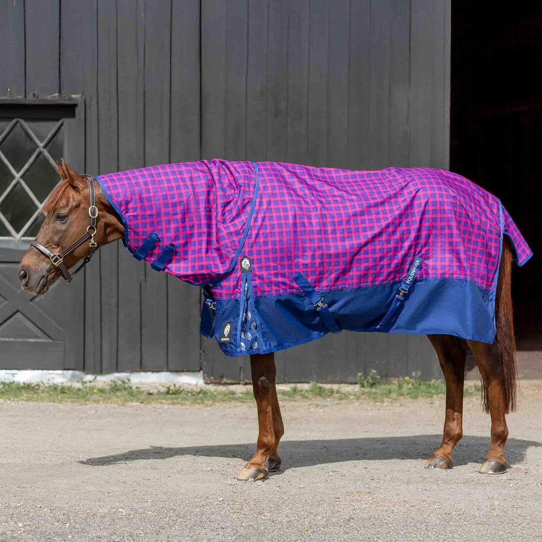 Equinavia Norse Waterproof Turnout Blanket
