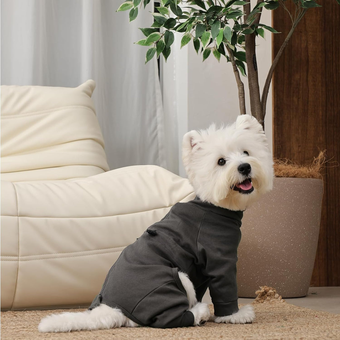 Recovery Suit for Large Dogs, Adjustable Dog Onesie