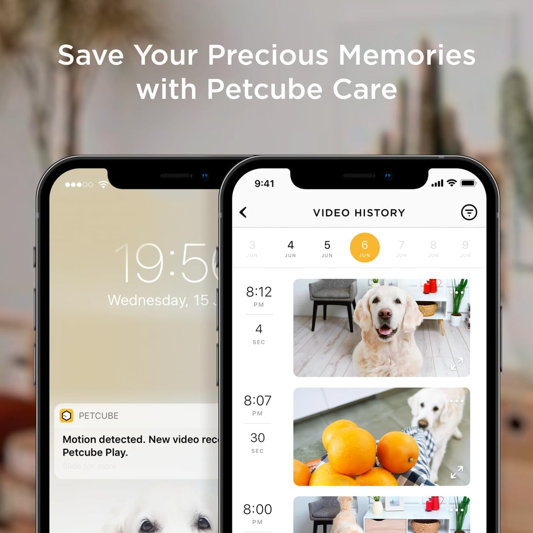 Petcube Bites 2 Lite - WiFi Pet Camera with Treat Dispenser & App