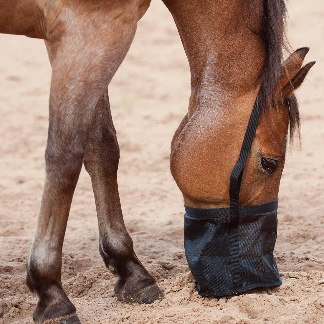 CASHEL Horse Feed Rite Bag (FRB)