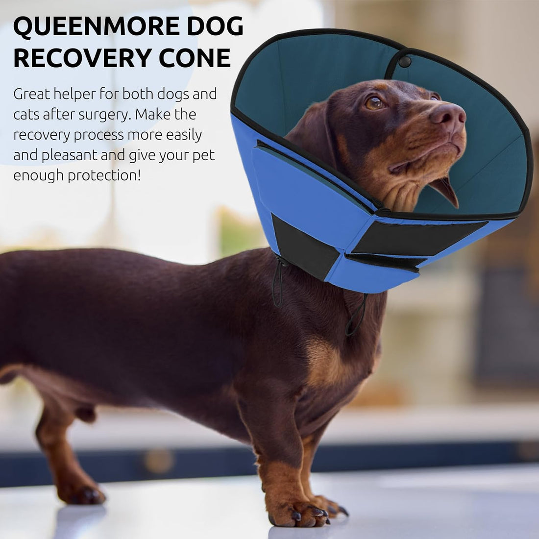 Queenmore Dog Cones for Small Dogs, Soft Dog Cone After Surgery
