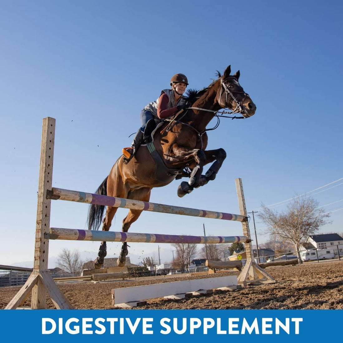 Gastric Support Supplement for Horses | Relieves Ulcers