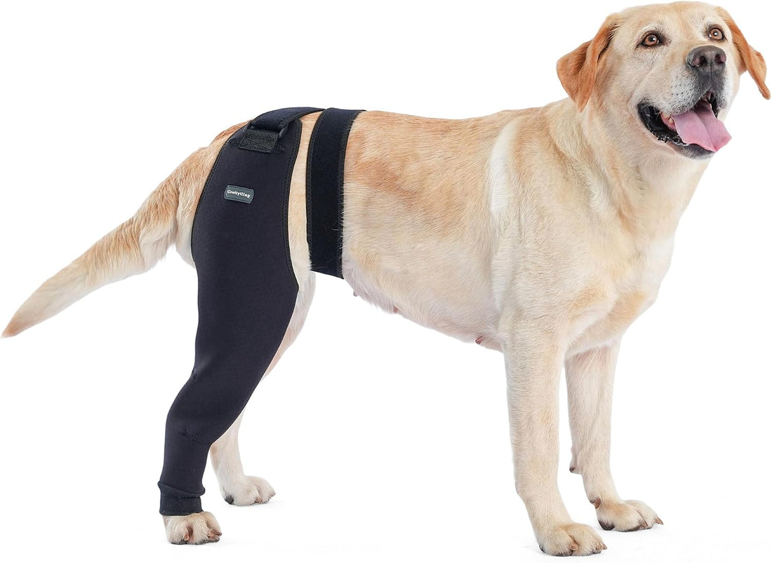 Single Dog Rear Leg Sleeve to Stop Licking