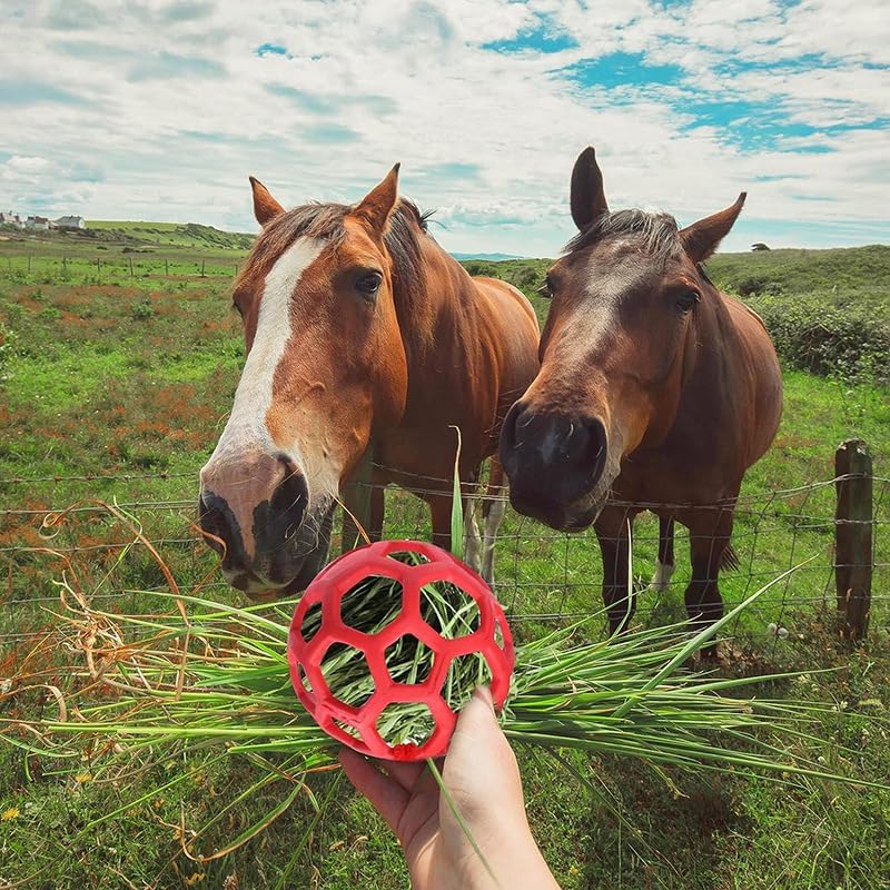 Blue Hanging Horse Treat Ball – Durable TPR Hay Feeder Toy for Horses