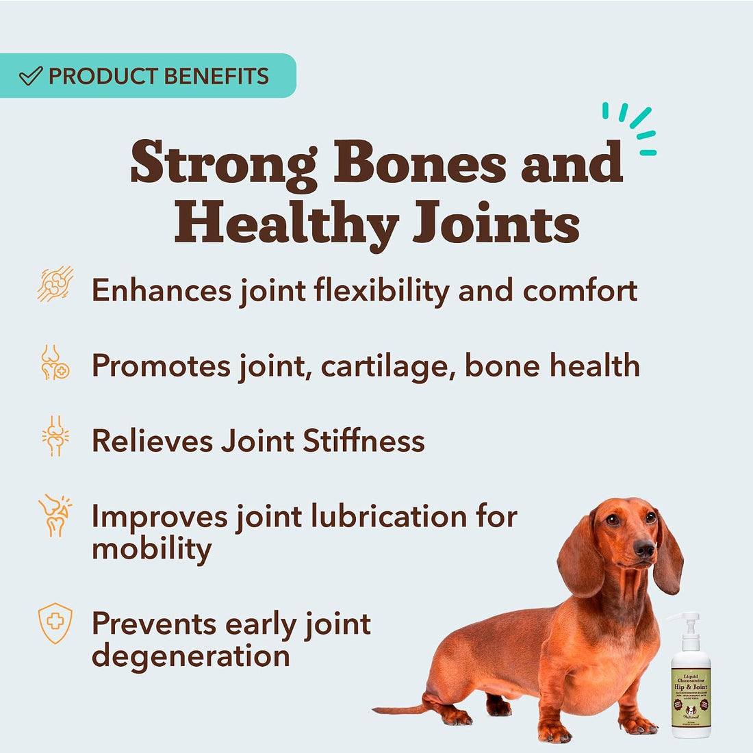 Natural Dog Company Liquid Glucosamine for Dogs, Hip & Joint Oil