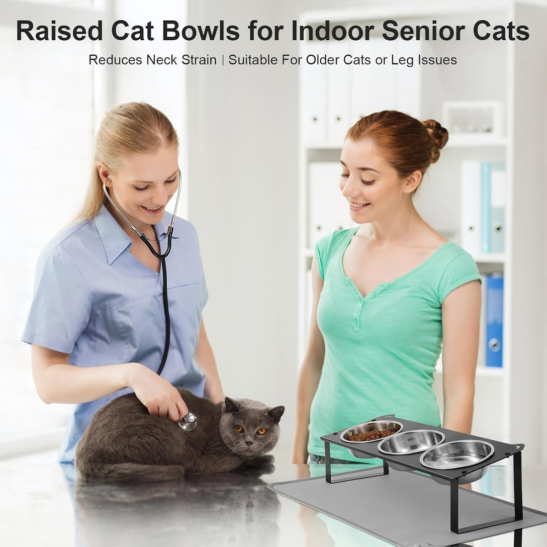 Elevated Cat Bowls with Food Mat