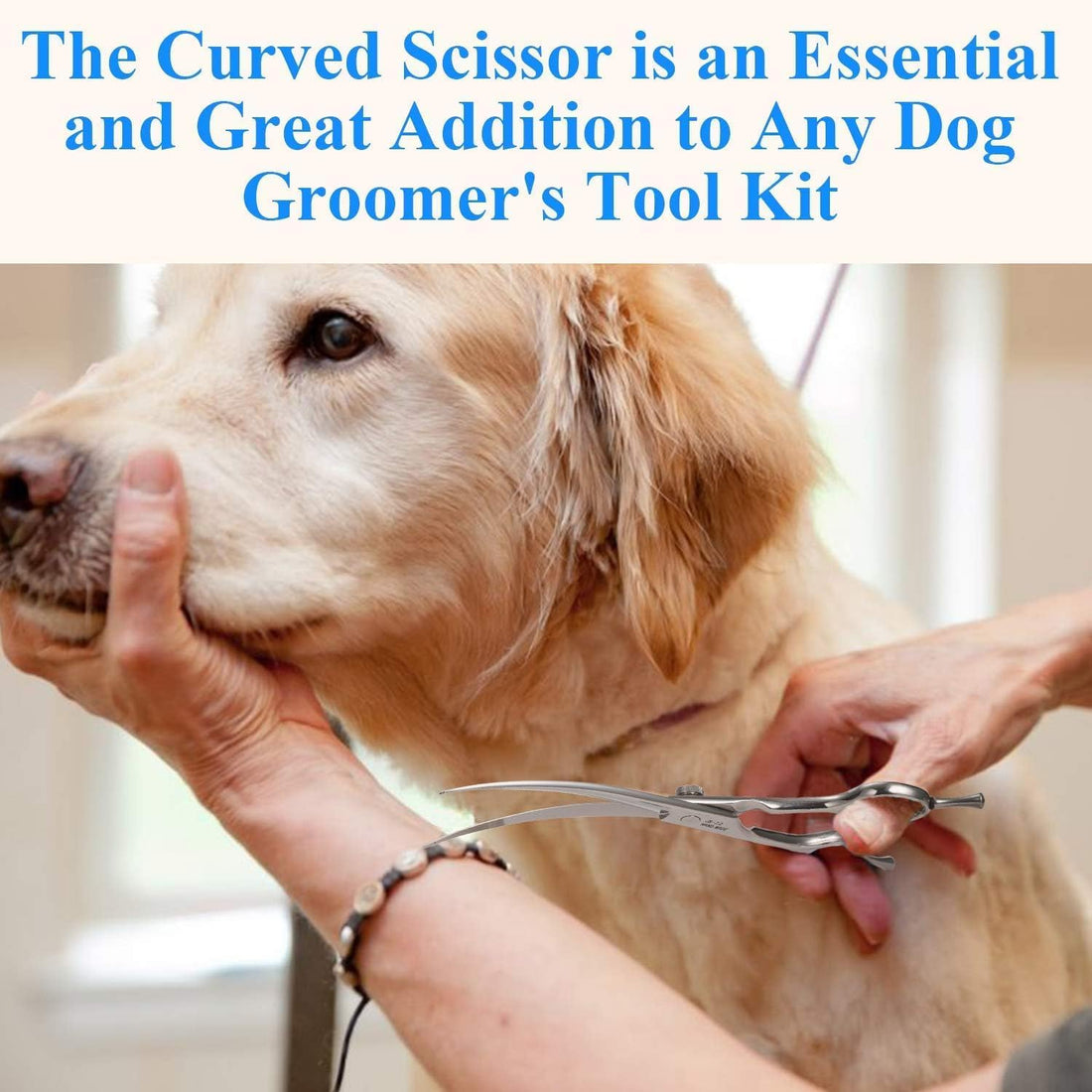 JASON 7" Curved Dog Grooming Scissors