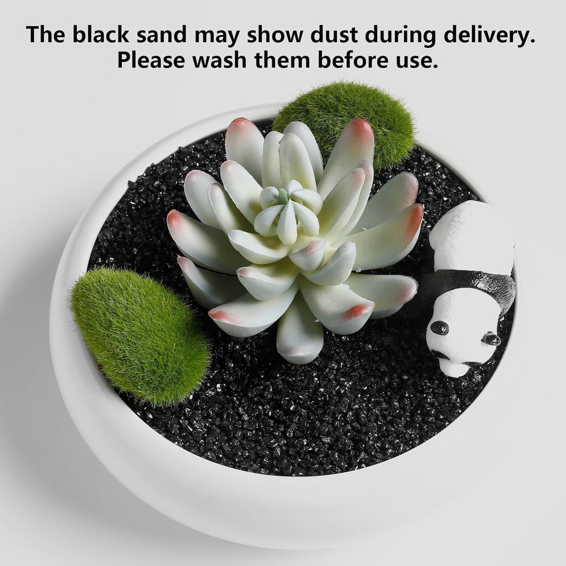 Boniosz 2.4lb 2-3mm Black Horticultural Sand for Succulents & Aquarium