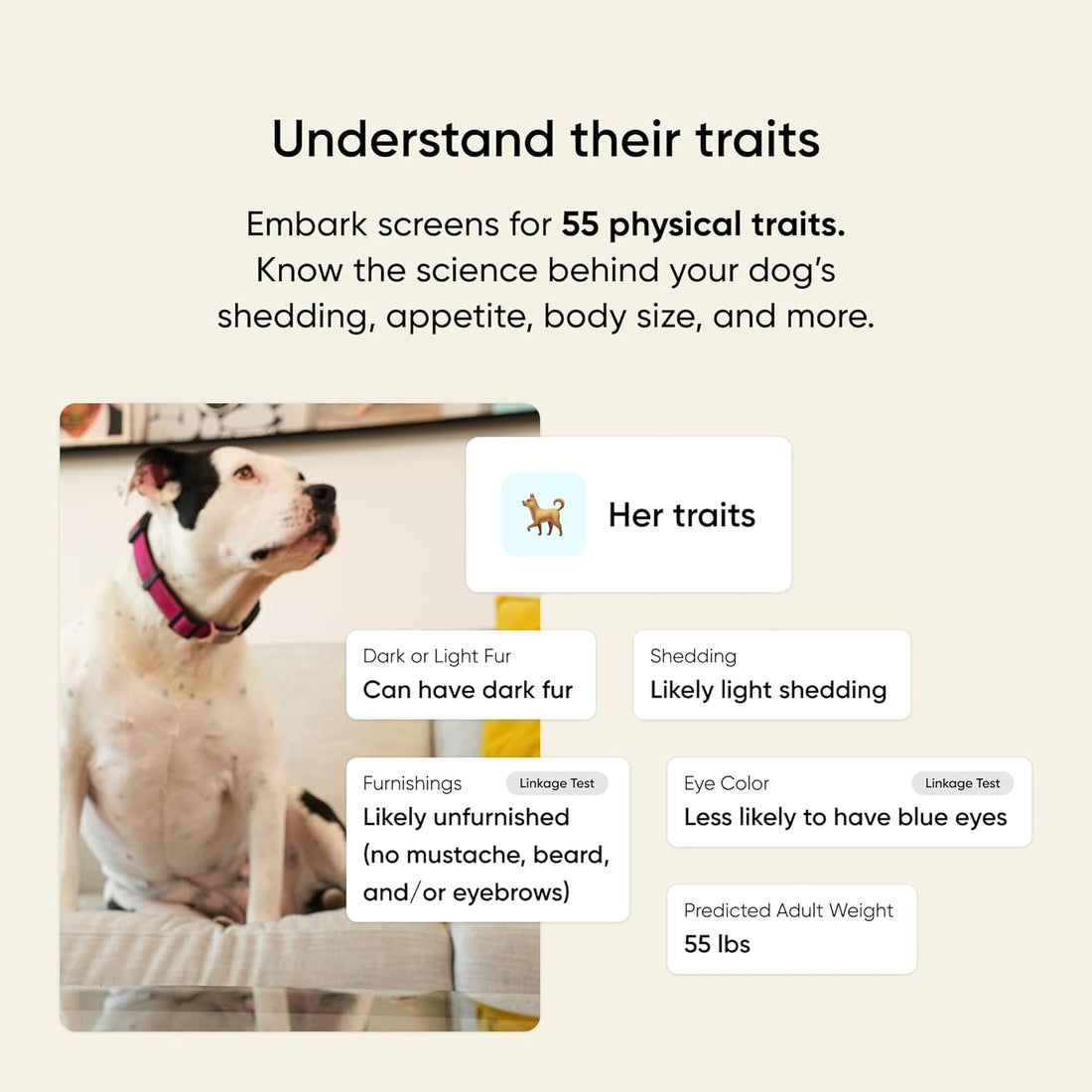 Embark Breed & Health Dog DNA Test - 400+ Breeds