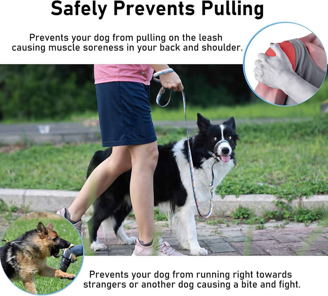 BARKLESS Dog Head Collar, Anti-Pulling Printed Head Halter with Leash