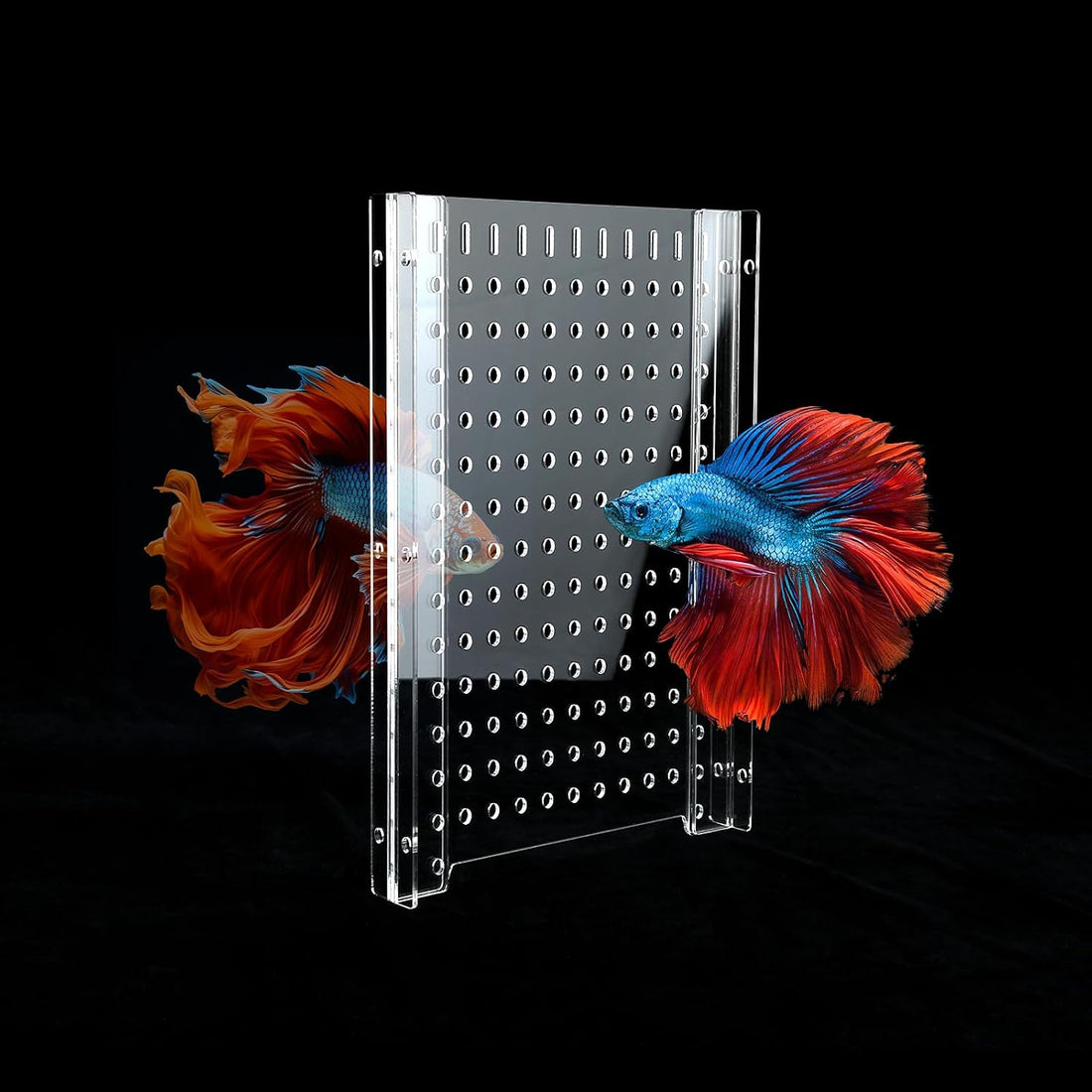 Acrylic Fish Tank Divider 10Gallon,Adjustment Clear Fish Tank