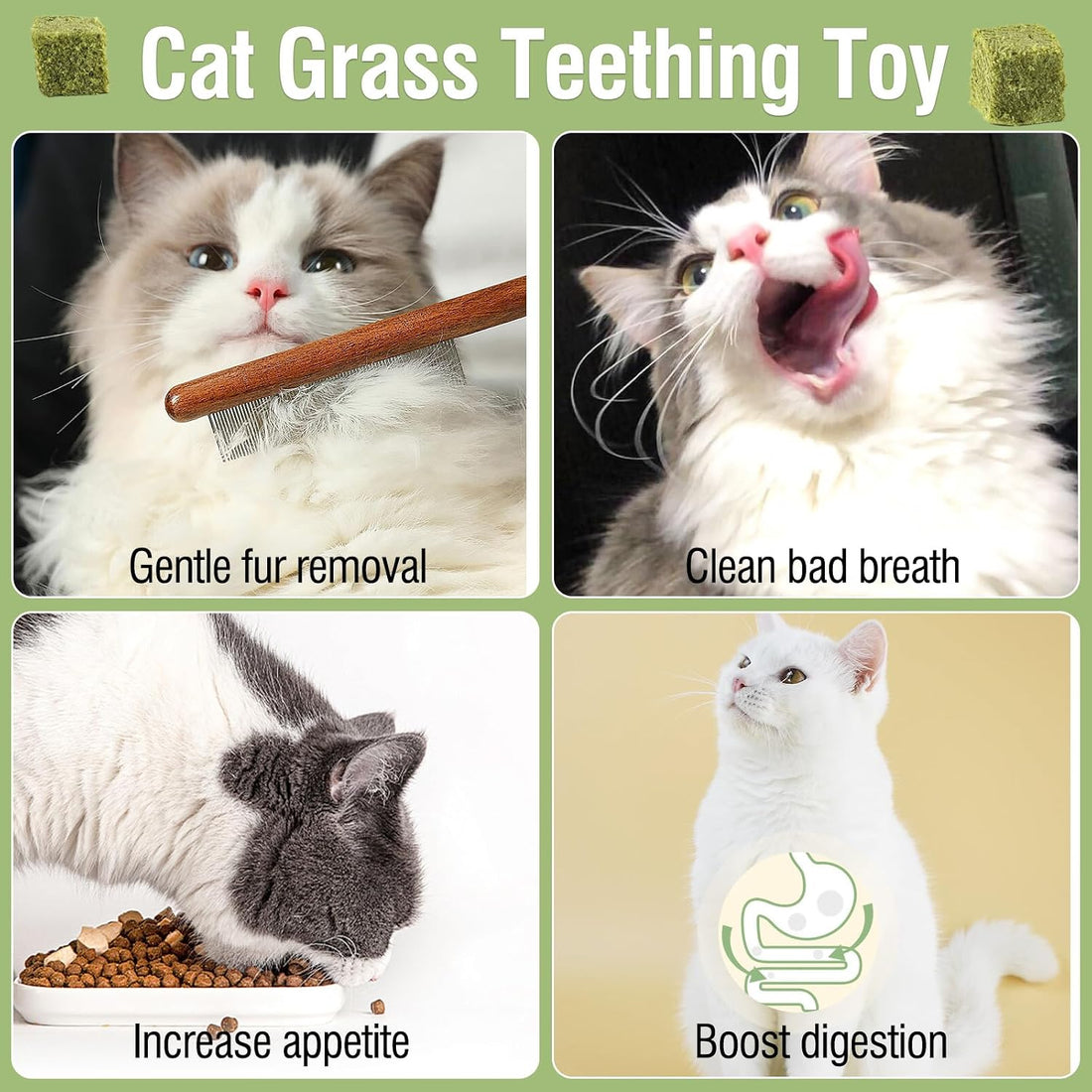 60g/2.13oz Cat Grass Teething Toy Hairballs,Chew Treats