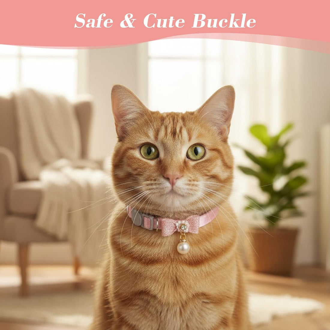 LXUEJIE Cat Collar Breakaway