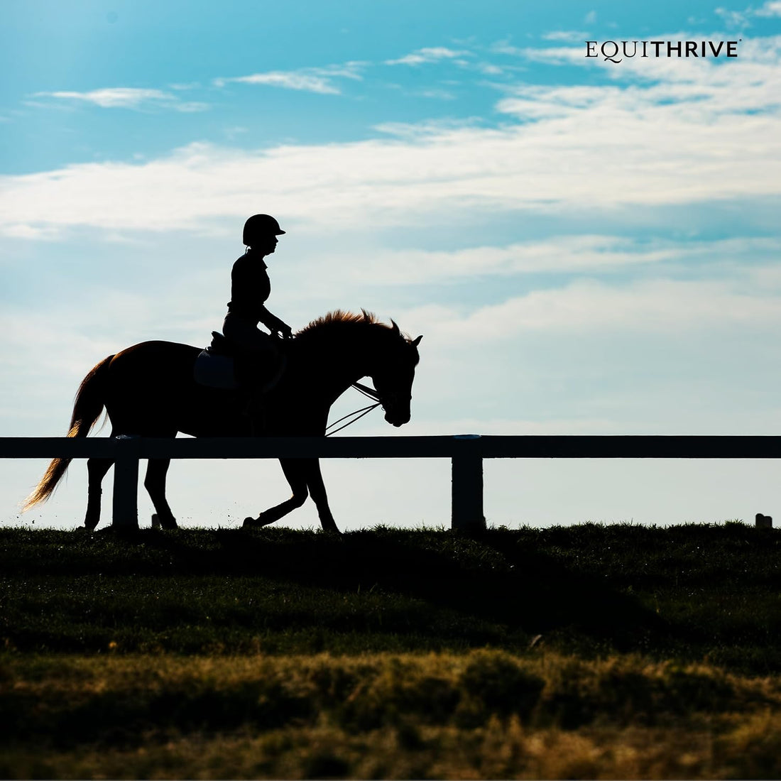 Equithrive Classic Joint Pellets Horse Supplement