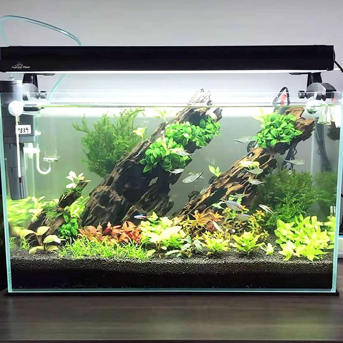 kathson Aquarium Large Driftwood Natural Wood Assorted Branches Fish
