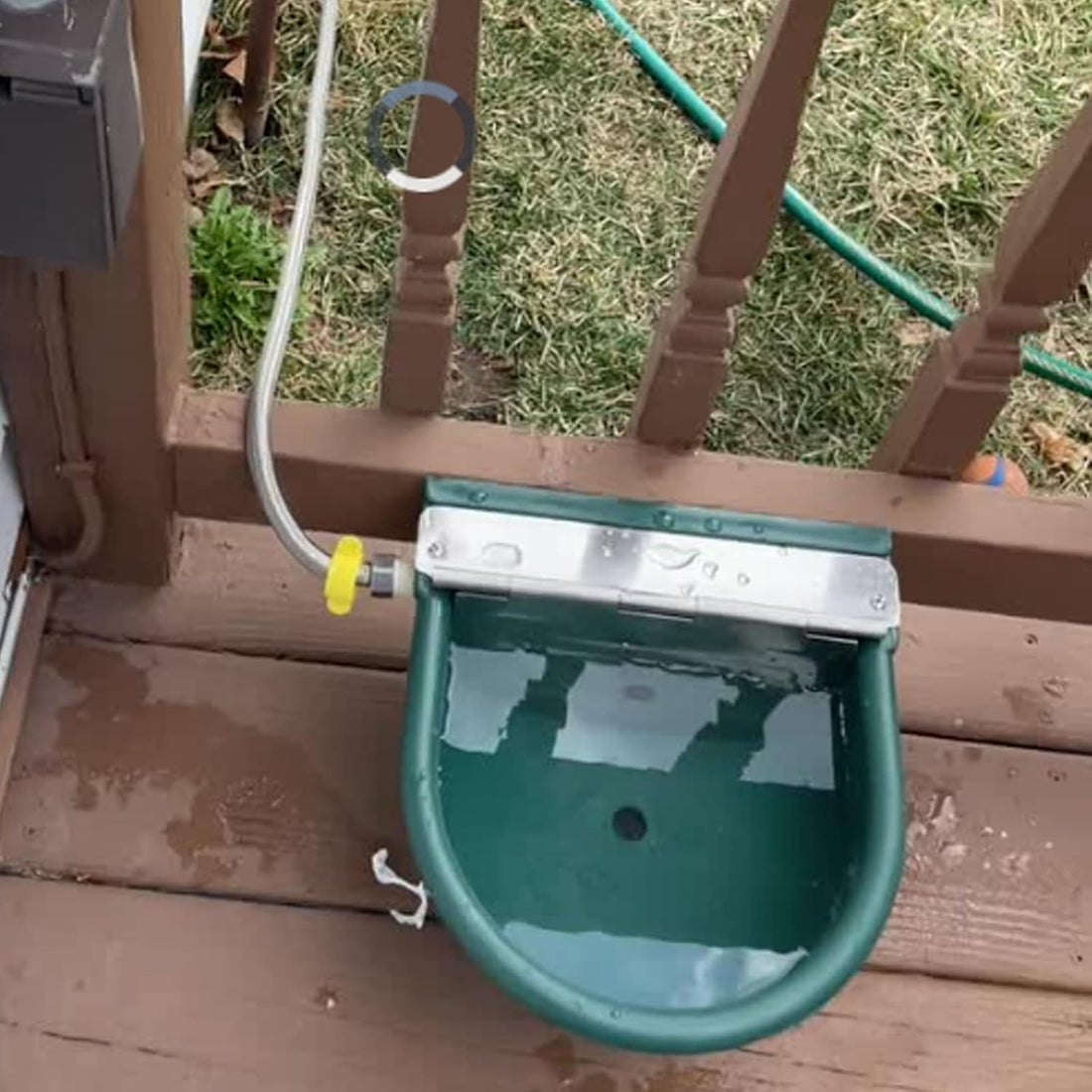 Automatic Water Bowl Livestock Waterer for Horse Cattle Goat Sheep Dog