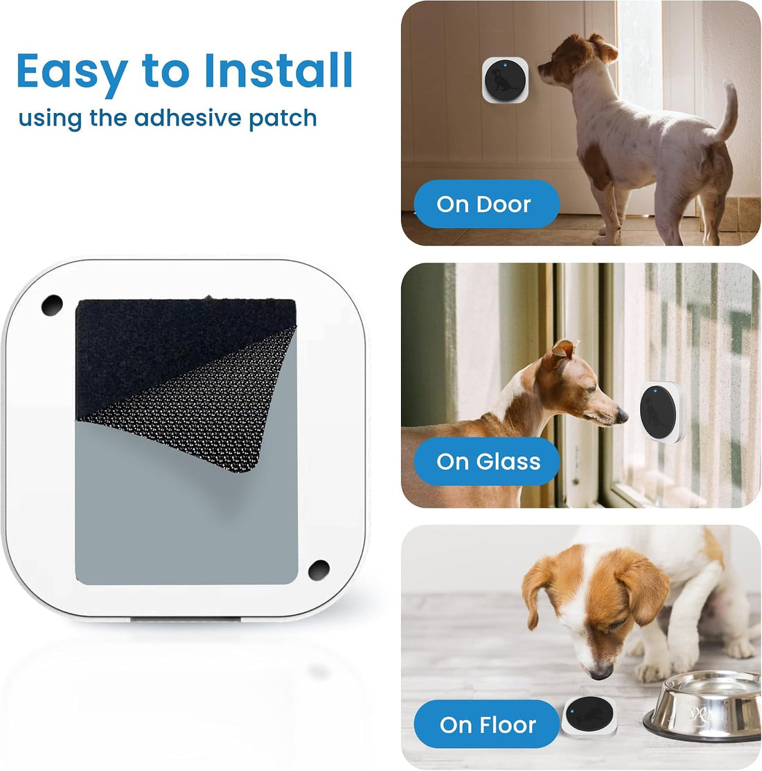 Wireless Dog Doorbell to Go Outside with 4 Notification Modes