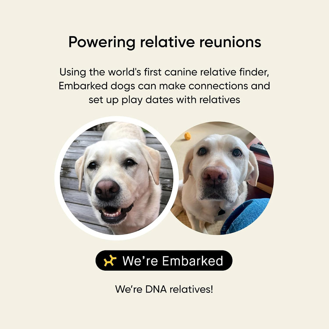 Embark Breed & Health Dog DNA Test - 400+ Breeds