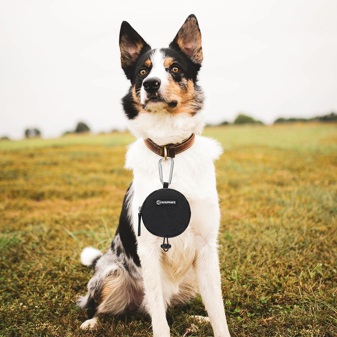 Dog Poop Bag Holder for Leashes- Dog Treat Pouch with Waterproof