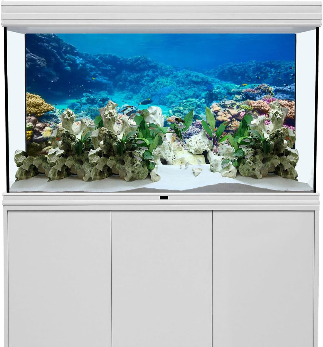 Aquarium Background Coral Tropical Undersea Fish Tank Backdrop 36x20