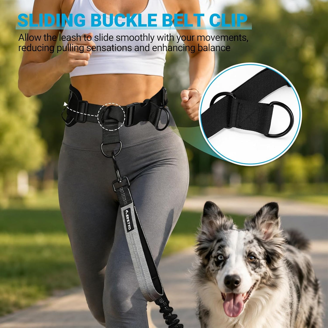 Hands Free Bungee Dog Leash for Medium to Large Dogs | Wider