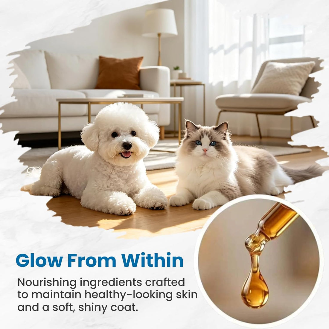 Premium Liquid Collagen & Probiotics for Dogs and Cats - Prebiotics