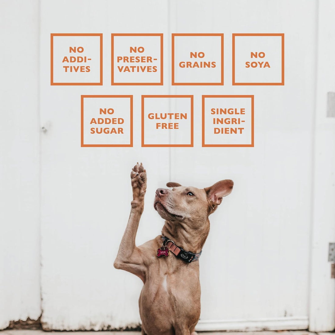 Lamb Pizzle Sticks for Dogs - 100% Natural Chews