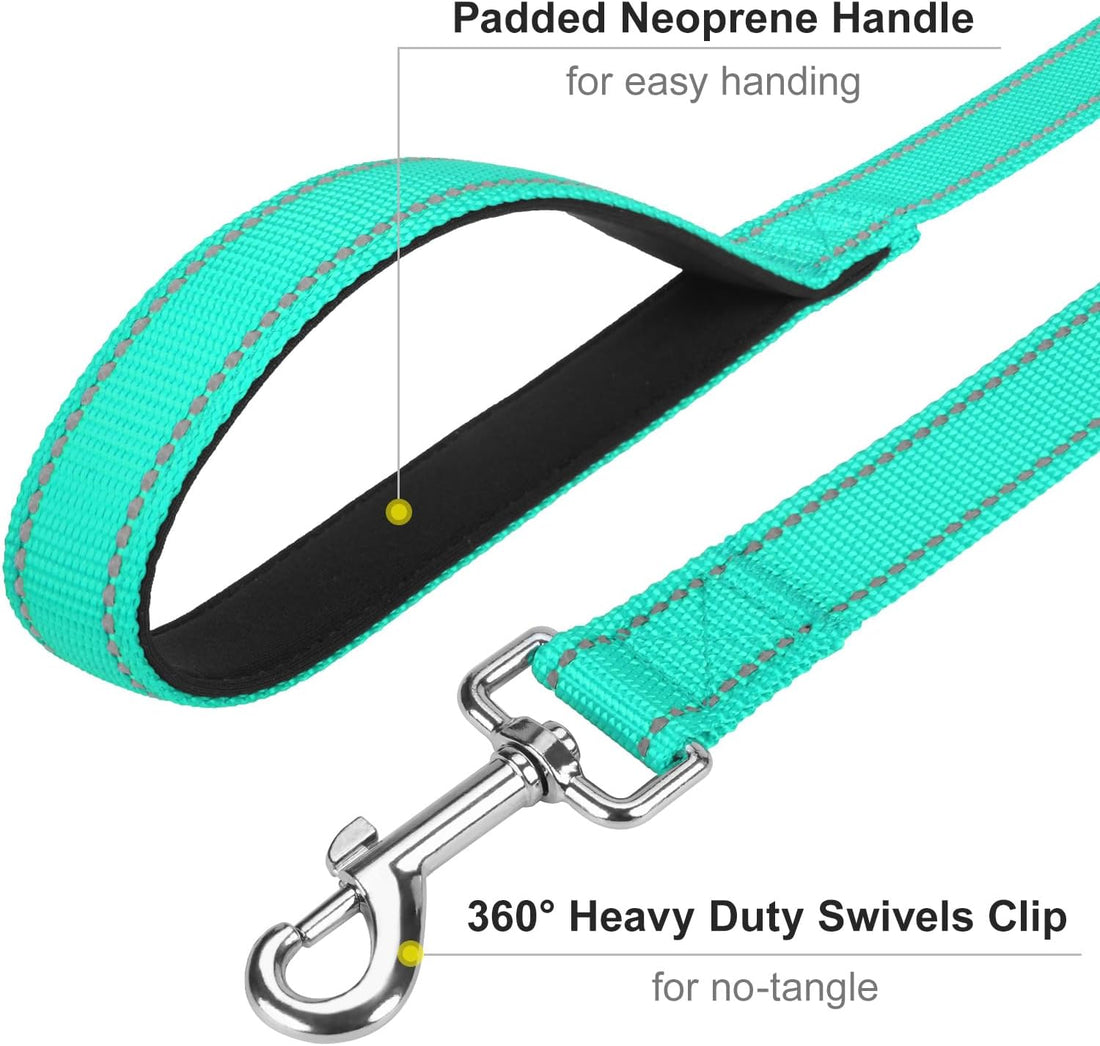 6FT Reflective Dog Leash, Padded Handle for Small Medium Dogs