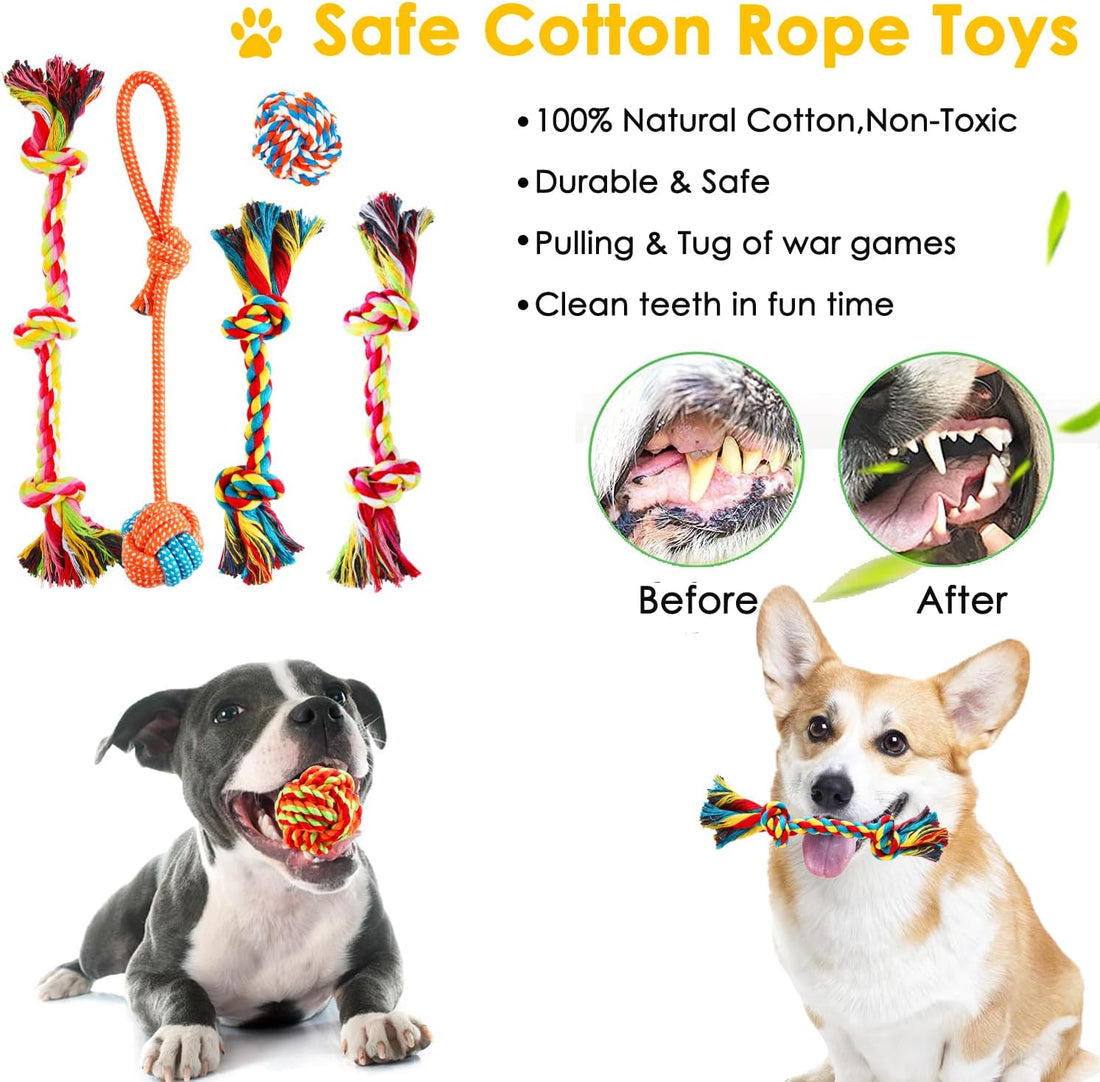 Aipper Dog Toys 25 Pack for Fun and Teeth Cleaning
