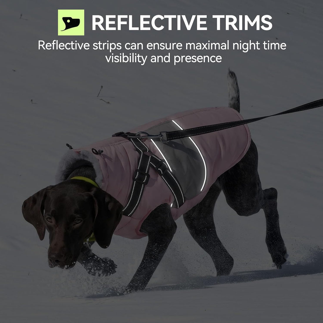 Dog Winter Coat Waterproof Dog Jacket with Harness for Medium Dogs