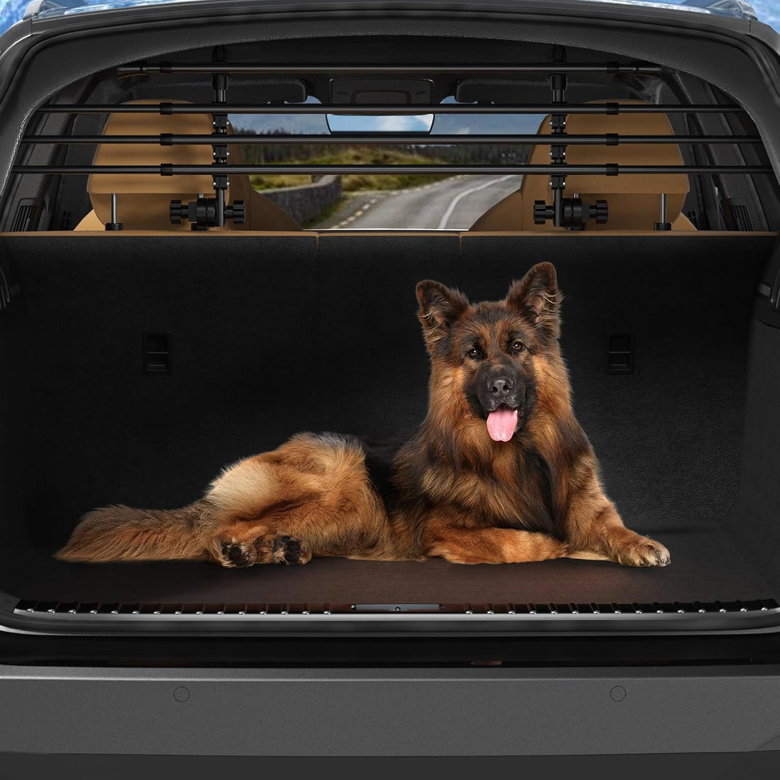 Universal Pet Barrier for All Vehicles