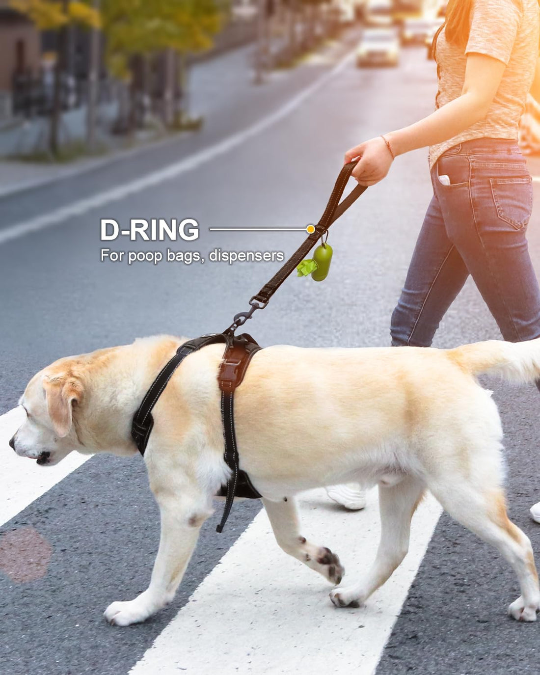 Joytale Strong Short Dog Leash 18 Inch, 1.2 Inch Wide, Heavy Duty