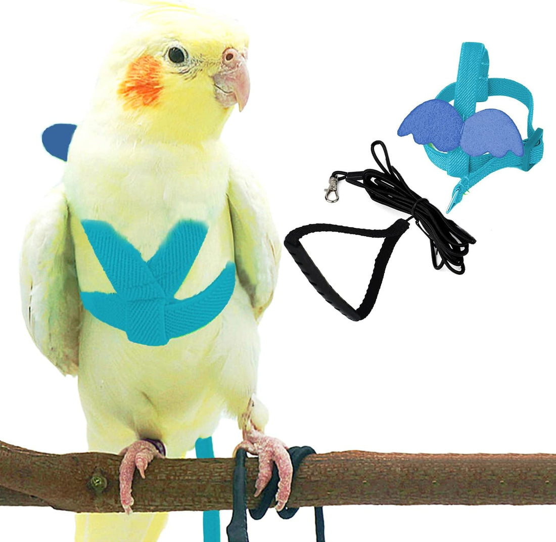 Dnoifne Parrot Harness and Leash, Adjustable Training Design Anti-Bite
