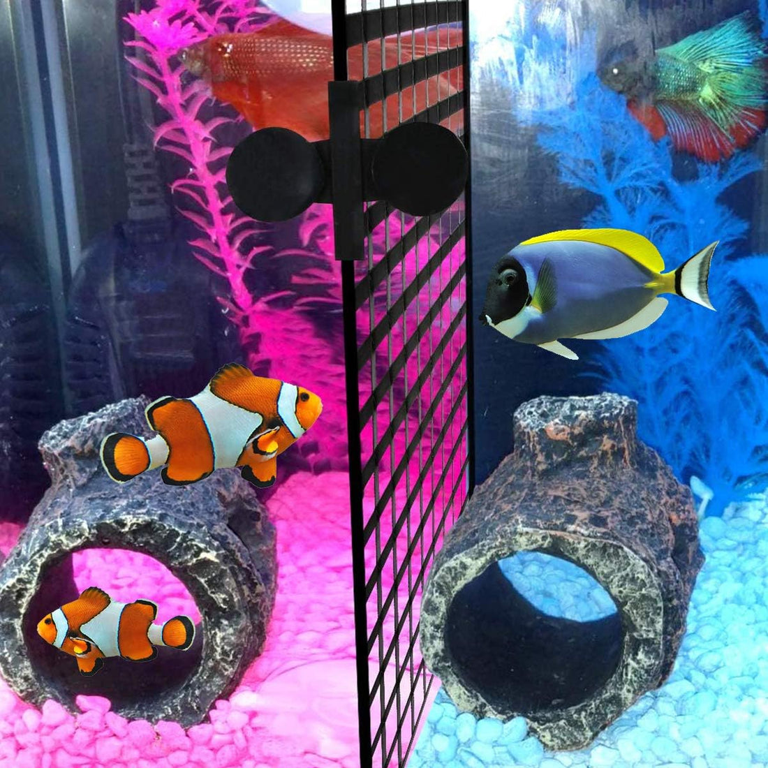WEAVERBIRD 2 Pcs Aquarium Divider Tray Plastic Grid Divider Tray Egg