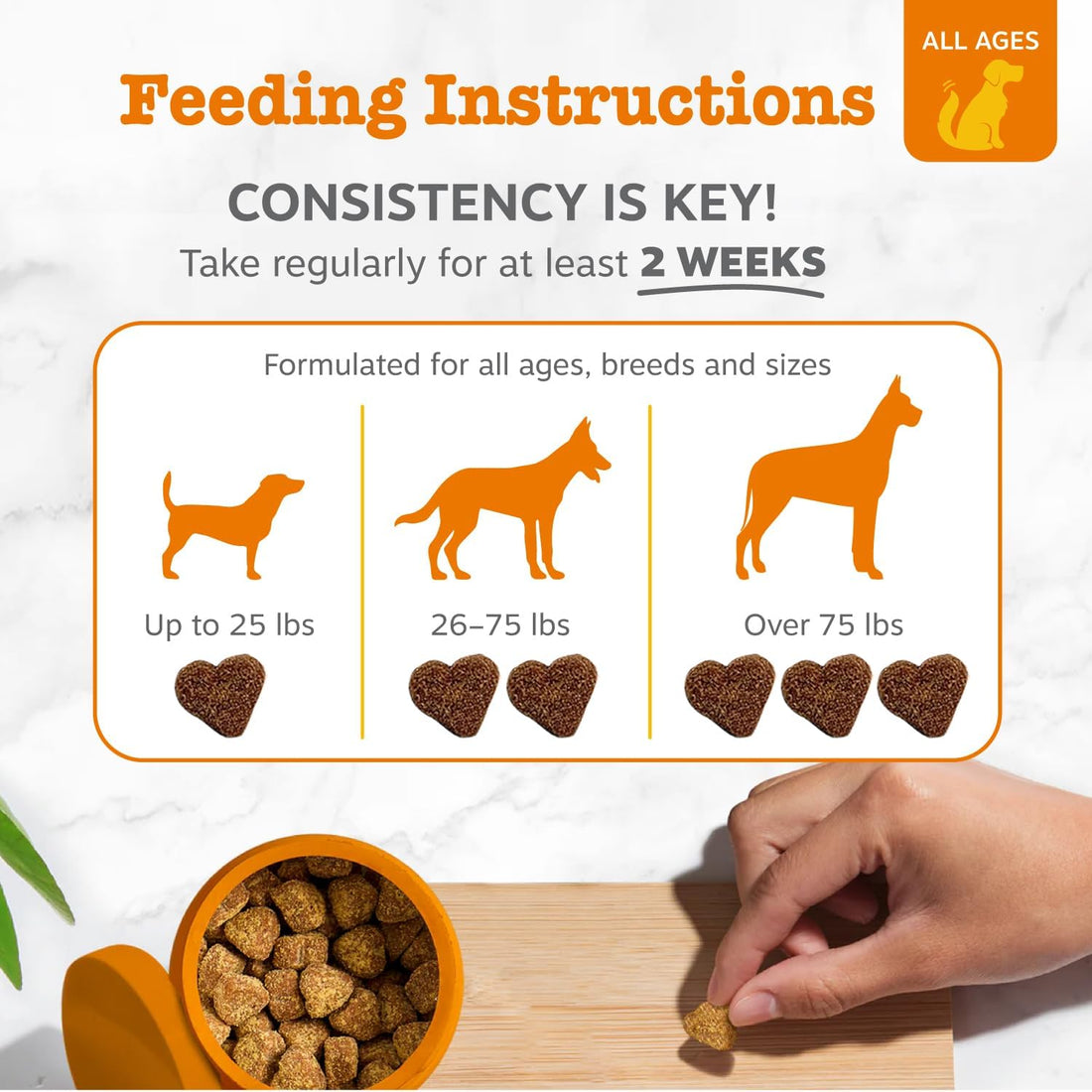 Zesty Paws Probiotics for Dogs - Digestive Enzymes for Gut Flora
