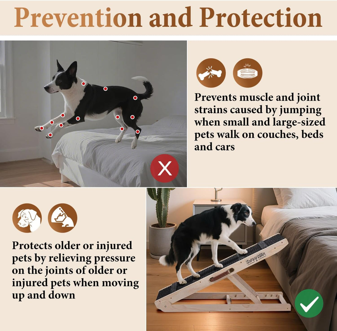 Dog Ramp for Bed - Foldable Small to Large Dog Ramp for Couch