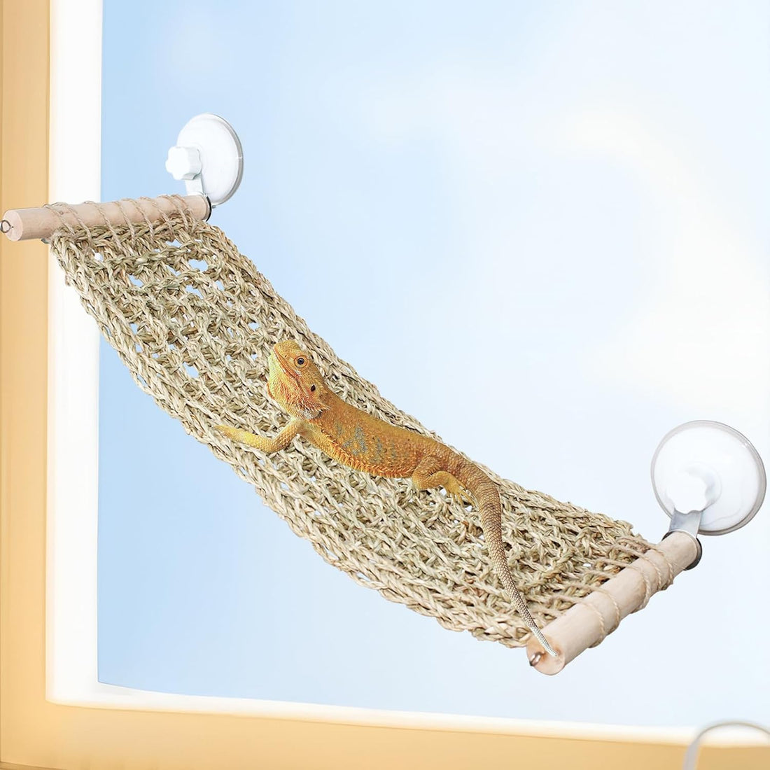 FlidRunest 21.6 x 7.8 in Seagrass Bearded Dragon Hammock for Window