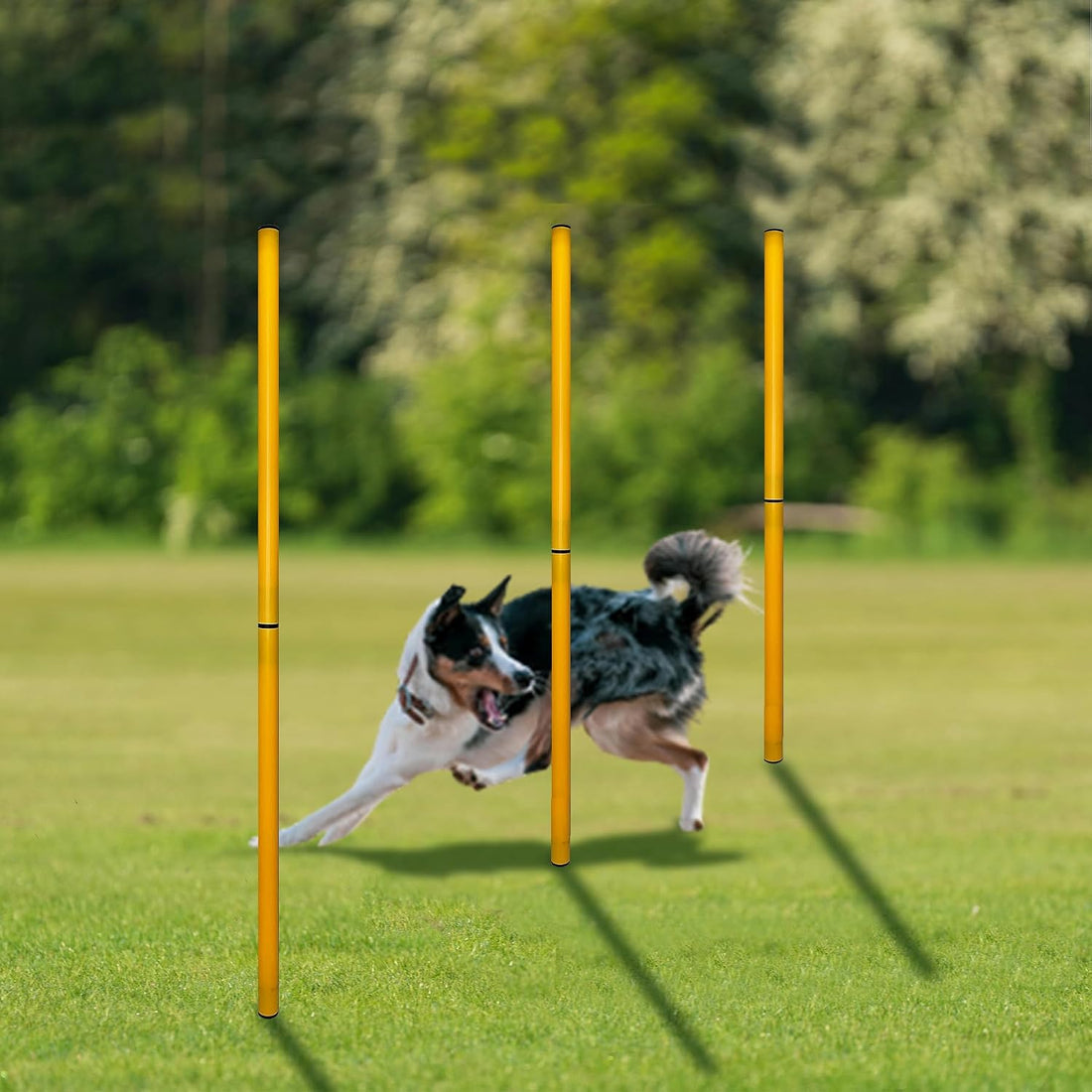TNZMART 2.6 FT Dog Agility Obstacle Course Backyard Set with Wave