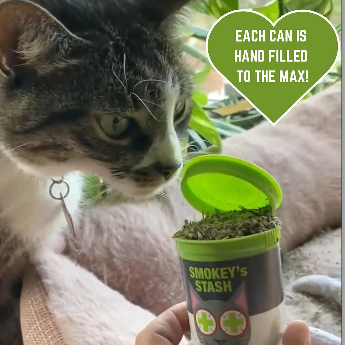Smokey's Stash Cat Catnip Spray and Dried Organic Catnip Combo