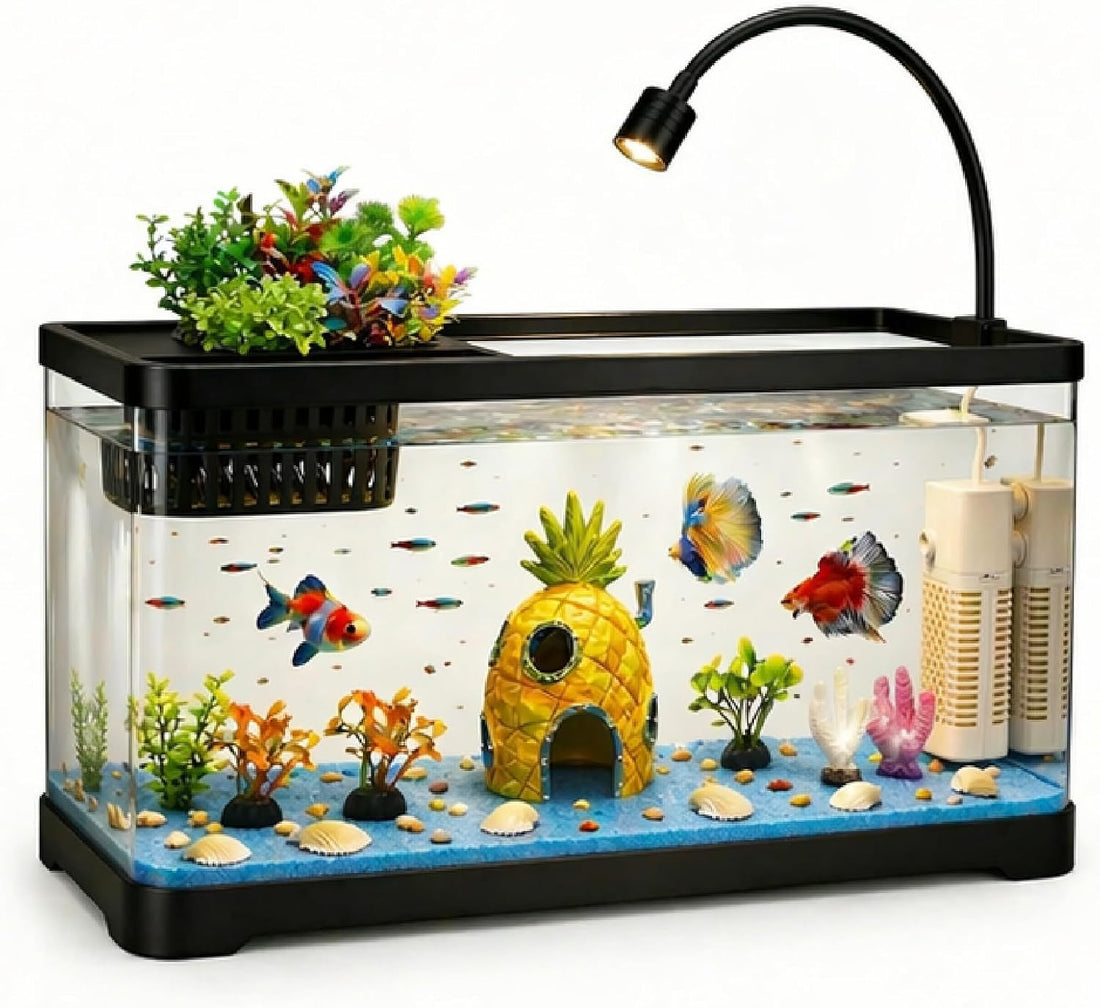 5 Gallon Fish Tank Aquarium Starter Kit with Filter and Light