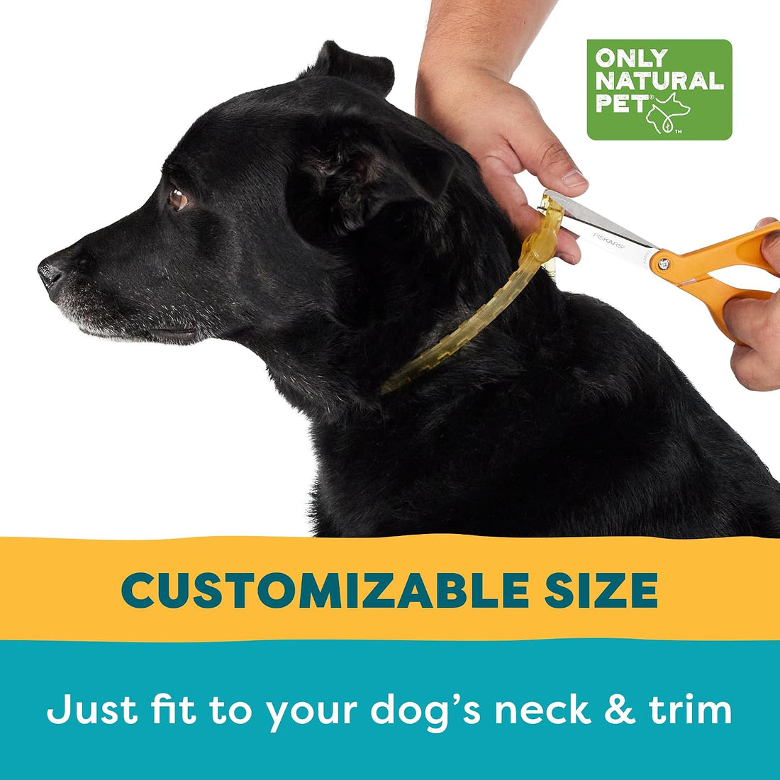 Only Natural Pet EasyDefense Flea & Tick Dog Collar
