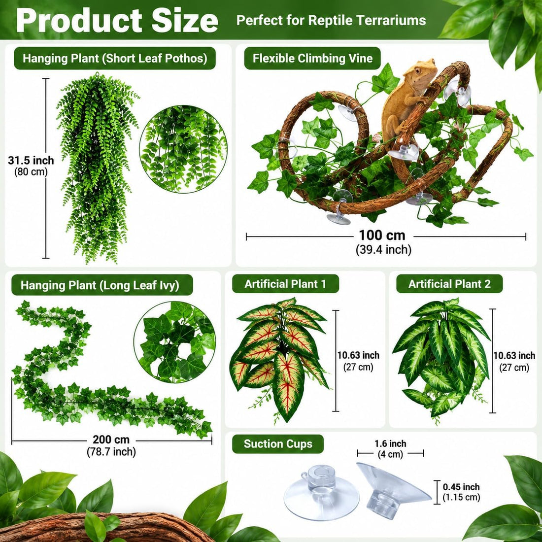 Reptile Plants for Terrarium Tank