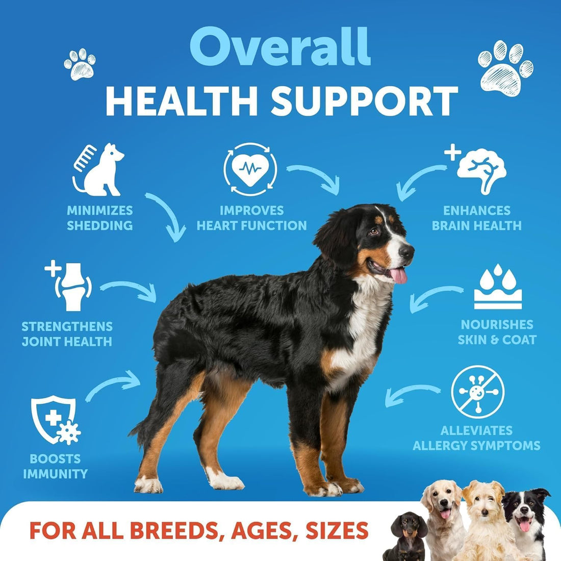 Fish Oil for Dogs - 16 OZ - Salmon Oil for Dogs - Liquid Omega 3