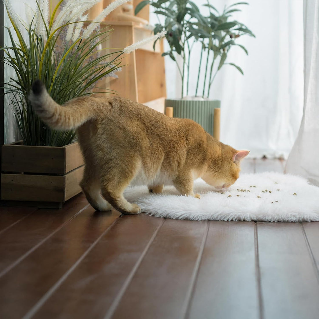 Dog Cat Bed Mat 19.6x31.4 inch