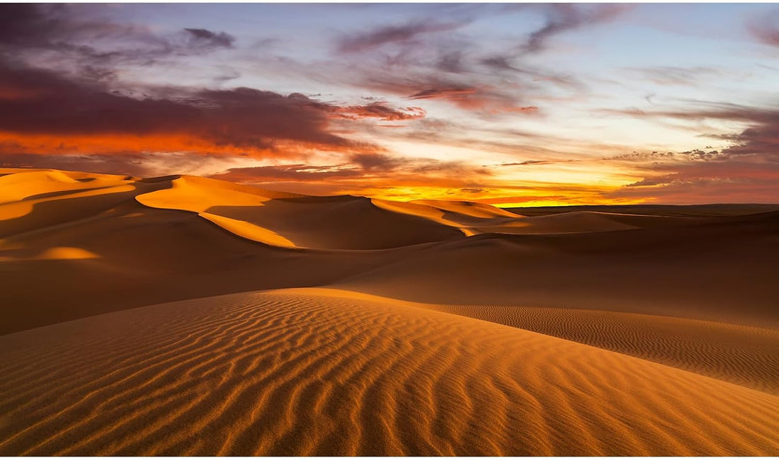 Sunset Desert Reptile Habitat Background Arid Landscape of The Sahara
