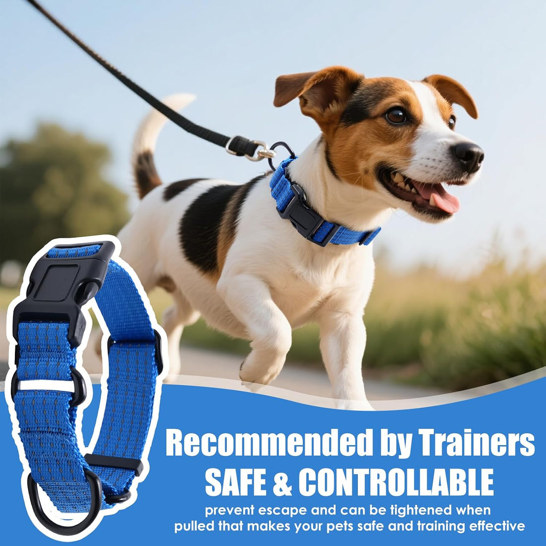 Martingale Dog Collar, Reflective No Pull with Buckle, Blue, M