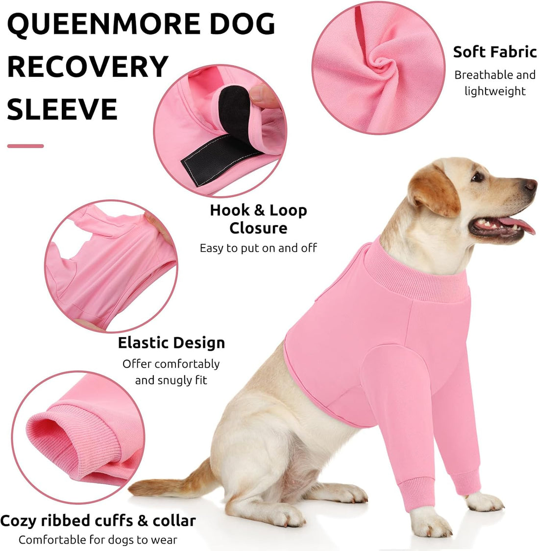 Queenmore Recovery Sleeve for Dogs Front Leg