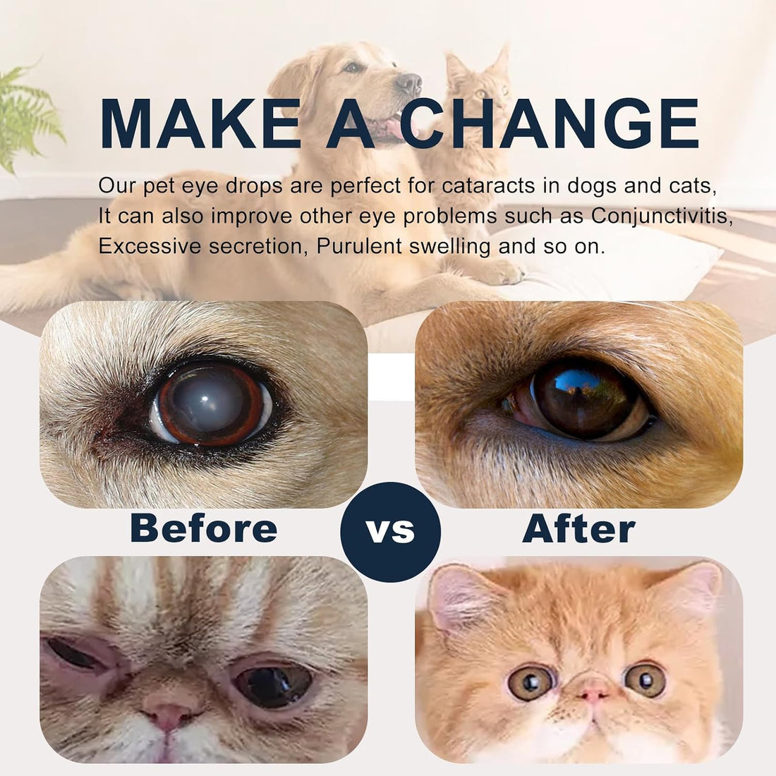 Cataract Drops for Dogs, Dog Eye Drops for Relieving Itching